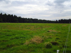 GrassManPlots