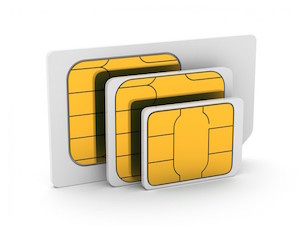 wt sims global micro and nano jpeg
